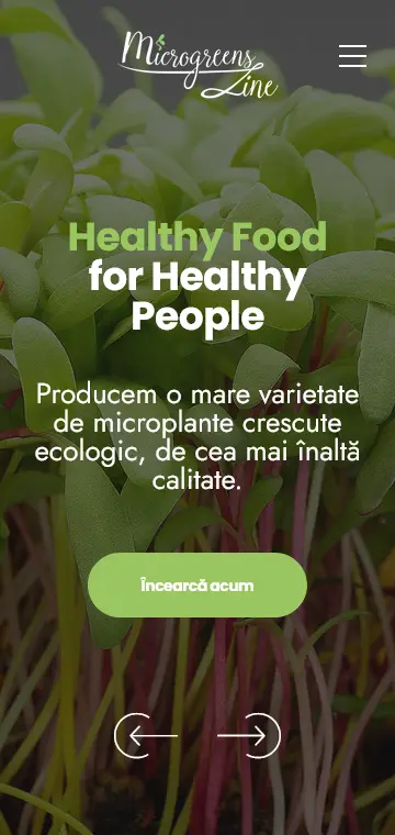 eCommerce preview mobile